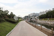 한국, 부산, 다대포, 다대포해수욕장, 해솔길, 사진,이미지,일러스트,캘리그라피 - Nyun작가 크라우드픽 - 저작권 걱정 없는 상업용 이미지