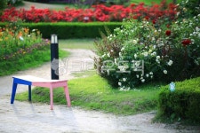 순천만국가정원1호, 테마공원, 자연생태공원, 자연, 옥외, 사진,이미지,일러스트,캘리그라피 - pandora4077작가 크라우드픽 - 저작권 걱정... 