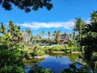 여름, 야자수, 호수, 하늘, 구름, 사진,이미지,일러스트,캘리그라피 - hanna7544작가 크라우드픽 - 저작권 걱정 없는 상업용 이미지