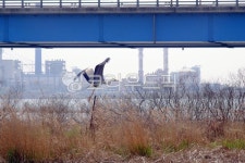 bird, 새, 황새, waterfowl, 물새, 사진,이미지,일러스트,캘리그라피 - nti71작가 크라우드픽 - 저작권 걱정 없는 상업용 이미지