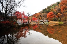 충청남도, 충남, 공주시, 마곡사, 태화산, 사진,이미지,일러스트,캘리그라피 - jeongdm1작가 크라우드픽 - 저작권 걱정 없는 상업용 이미지