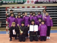 대전유천초 핸드볼부, 전국 제패 < 교육 < 뉴스 < 기사본문 - 충청신문 대전유천초 핸드볼부, 전국 제패