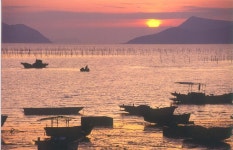 당진시 개막 알리는 왜목 해돋이 축제 < 당진 < 충남 < 기사본문 - 충청신문 당진시 개막 알리는 왜목 해돋이 축제