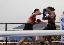 女프로복싱 메카로 예산군 떠올라 < 사회 < 뉴스 < 기사본문 - 충청신문 女프로복싱 메카로 예산군 떠올라