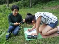 쌍류초, 자연관찰 탐구 왕 탄생! < 사람들 < 충청人 < 기사본문 - 충청신문 쌍류초, 자연관찰 탐구 왕 탄생!