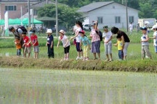 부여 굿뜨래 친환경인증쌀 생산 농가소득 향상 < 부여 < 논산·계룡·금산·부여 < 충남 < 기사본문 - 충청신문 부여 굿뜨래 친환경인증쌀 생산... 