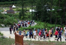 보은, 숲속 음악회와 함께 한 숲길 걷기행사 ‘성료’ < 보은 < 보은·옥천·영동 < 충북 < 기사본문 - 충청신문 보은, 숲속 음악회와 함께 한 숲길... 