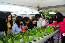 도시농업 매력에 흠뻑 < 세종 < 기사본문 - 충청신문 도시농업 매력에 흠뻑
