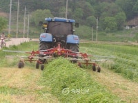 부여, 축산농가 불황 극복 ‘총력전’ < 부여 < 충남 < 기사본문 - 충청신문 부여, 축산농가 불황 극복 ‘총력전’