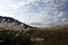 단양 가곡면, 생태 거점으로 거듭나 < 단양 < 충북 < 기사본문 - 충청신문 단양 가곡면, 생태 거점으로 거듭나