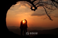 성흥산 사랑나무 매력에 빠지다 < 부여 < 논산·계룡·금산·부여 < 충남 < 기사본문 - 충청신문 성흥산 사랑나무 매력에 빠지다