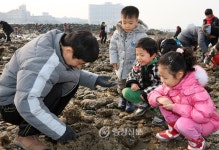 무창포 신비의 바닷길, 11일부터 17일까지 매일 열린다 < 보령 < 서산·보령·서천·태안 < 충남 < 기사본문 - 충청신문 무창포 신비의 바닷길...