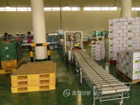 청원군, 원예농업분야 146억여원 지원 < 청주 < 충북 < 기사본문 - 충청신문 청원군, 원예농업분야 146억여원 지원