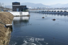 ‘철새들의 보금자리 충주하수처리장’ < 충주 < 충주·제천·단양 < 충북 < 기사본문 - 충청신문 ‘철새들의 보금자리 충주하수처리장’