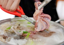 무창포항 주꾸미 축제 ‘팡파르’ < 보령 < 충남 < 기사본문 - 충청신문 무창포항 주꾸미 축제 ‘팡파르’