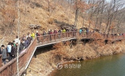 진천 초롱길, 관광명소로 자리잡다 < 진천 < 충북 < 기사본문 - 충청신문 진천 초롱길, 관광명소로 자리잡다