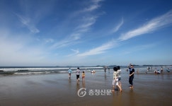 올 여름 휴가는 휴양도시 태안반도로! < 태안 < 충남 < 기사본문 - 충청신문 올 여름 휴가는 휴양도시 태안반도로!