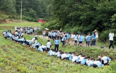 단양군 농촌체험관광 1번지로 거듭나 < 단양 < 충주·제천·단양 < 충북 < 기사본문 - 충청신문 단양군 농촌체험관광 1번지로 거듭나
