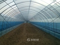 서천군장애인보호작업장, 해피그린하우스 개장 < 서천 < 충남 < 기사본문 - 충청신문 서천군장애인보호작업장, 해피그린하우스 개장