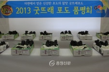 부여농기센터, 굿뜨래포도 왕중왕 품평회 < 부여 < 충남 < 기사본문 - 충청신문 부여농기센터, 굿뜨래포도 왕중왕 품평회