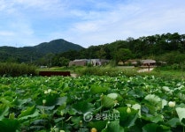 이응노생가 기념관 건축대상 ‘대상’ < 홍성 < 충남 < 기사본문 - 충청신문 이응노생가 기념관 건축대상 ‘대상’