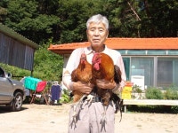 ‘우리 맛닭’ 사육으로 고소득 올려 < 보은 < 충북 < 기사본문 - 충청신문 ‘우리 맛닭’ 사육으로 고소득 올려