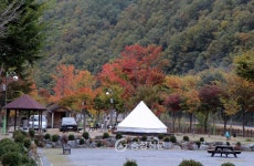 단양오토캠핑장 가을 정취 ‘물씬’ < 단양 < 충북 < 기사본문 - 충청신문 단양오토캠핑장 가을 정취 ‘물씬’