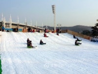 천안 종합운동장 눈썰매장 성황 < 천안 < 충남 < 기사본문 - 충청신문 천안 종합운동장 눈썰매장 성황