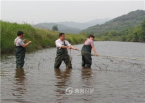 청양군, 불법어로행위 특별단속 < 청양 < 충남 < 기사본문 - 충청신문 청양군, 불법어로행위 특별단속