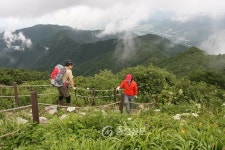 단양군, 사유림 매입에 5년간 50억원 투자 < 단양 < 충북 < 기사본문 - 충청신문 단양군, 사유림 매입에  5년간 50억원 투자