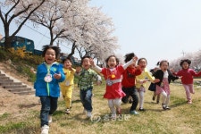 비단고을 금산, 봄의 色다른 매력…축제속으로 < 금산 < 충남 < 기사본문 - 충청신문 비단고을 금산, 봄의 色다른 매력…축제속으로