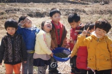 공주 태봉초 병설유치원, 자연생태체험 < 교육 < 뉴스 < 기사본문 - 충청신문 공주 태봉초 병설유치원, 자연생태체험