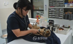 충북도, 야생동물 구조센터 새둥지 마련 < 청주 < 충북 < 기사본문 - 충청신문 충북도, 야생동물 구조센터 새둥지 마련