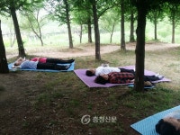 아산시 영인산휴양림사업소, 직무 스트레스 산림치유 프로그램 운영 < 아산 < 충남 < 기사본문 - 충청신문 아산시 영인산휴양림사업소, 직무... 