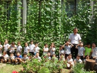 ‘녹색커튼’ 유치원 견학장소로 인기 < 천안 < 충남 < 기사본문 - 충청신문 ‘녹색커튼’ 유치원 견학장소로 인기