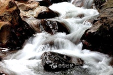영동 물한계곡, 발만 담가도 ‘더위가 싹~’ < 영동 < 보은·옥천·영동 < 충북 < 기사본문 - 충청신문 영동 물한계곡, 발만 담가도 ‘더위가 싹~’