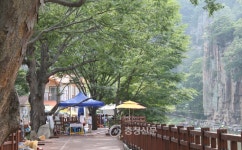 단양군, 일부 관광지 불법 영업 단속 시급 < 단양 < 충주·제천·단양 < 충북 < 기사본문 - 충청신문 단양군, 일부 관광지 불법 영업 단속 시급