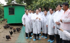 이동필 농림축산식품부장관, 시범사업지 시찰 < 충주 < 충북 < 기사본문 - 충청신문 이동필 농림축산식품부장관, 시범사업지 시찰