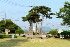 홍성지방 천주교 순교 중심지 세계인 이목 집중 < 홍성 < 충남 < 기사본문 - 충청신문 홍성지방 천주교 순교 중심지 세계인 이목 집중