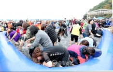 먹물축제서 낙지 잡기 ‘한창’ < 서산 < 충남 < 기사본문 - 충청신문 먹물축제서 낙지 잡기 ‘한창’