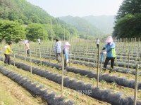 NH농협은행 괴산군지부, 농촌인력중개센터사업 전개 < 괴산 < 충북 < 기사본문 - 충청신문 NH농협은행 괴산군지부, 농촌인력중개센터사업 전개