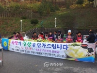 공주 옥룡동 새마을단체, ‘사랑의 김장나누기’ < 공주 < 충남 < 기사본문 - 충청신문 공주 옥룡동 새마을단체, ‘사랑의 김장나누기’