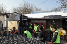 성신양회㈜ 단양공장 지역사회 사랑나눔 < 단양 < 충주·제천·단양 < 충북 < 기사본문 - 충청신문 성신양회㈜ 단양공장 지역사회 사랑나눔