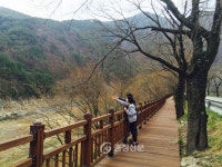 단양 선암골 생태유람길 걸으며 ‘힐링해요’ < 단양 < 충주·제천·단양 < 충북 < 기사본문 - 충청신문 단양 선암골 생태유람길 걸으며 ‘힐링해요’