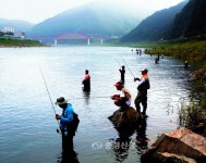 단양군, 남한강 쏘가리 금어기 집중 단속 < 단양 < 충북 < 기사본문 - 충청신문 단양군, 남한강 쏘가리 금어기 집중 단속