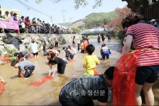 금산 남일면 홍도화축제 성황 < 금산 < 충남 < 기사본문 - 충청신문 금산 남일면 홍도화축제 성황