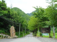 초록빛 설레임,금산산림문화타운 남이휴양림 < 연재마감 < 오피니언 < 기사본문 - 충청신문 초록빛 설레임,금산산림문화타운 남이휴양림