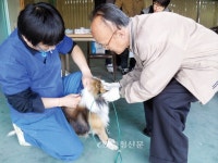 “반려동물 광견병 무료 예방접종하세요” < 청주 < 충북 < 기사본문 - 충청신문 “반려동물 광견병 무료 예방접종하세요”