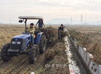 서천군 화양면사무소, 농촌 일손돕기 구슬땀 < 서천 < 서산·보령·서천·태안 < 충남 < 기사본문 - 충청신문 서천군 화양면사무소, 농촌 일손돕기... 