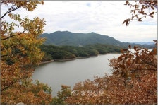가을 미르숲‘건강UP, 산소충전 누리자’ < 진천 < 충북 < 기사본문 - 충청신문 가을 미르숲‘건강UP, 산소충전 누리자’